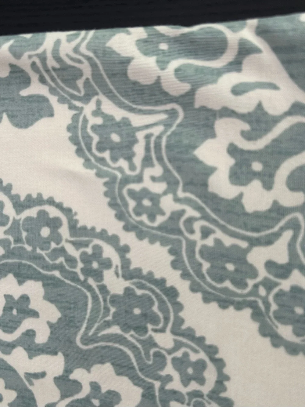 Pottery Barn set of two euro Shams in Lucianna medallion pattern